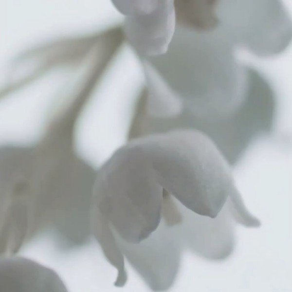 260127 Jimin CF Compilation