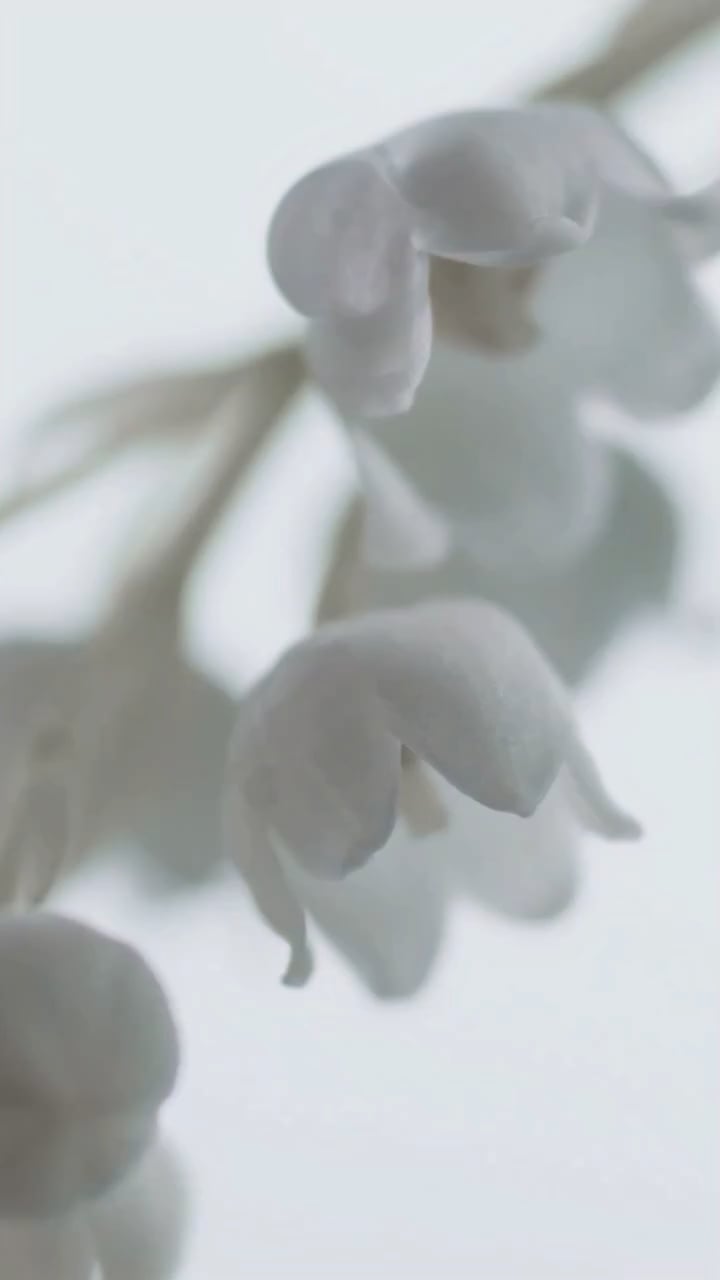 260127 Jimin CF Compilation