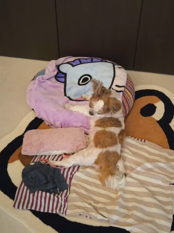 Hobi IG Post (video) 290126