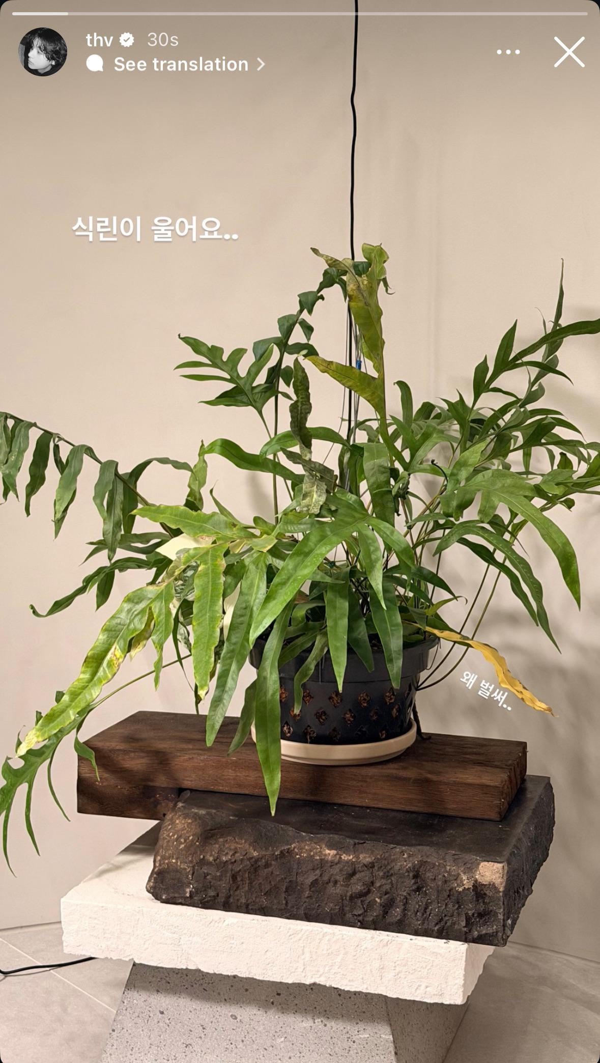 260125 V on Instagram