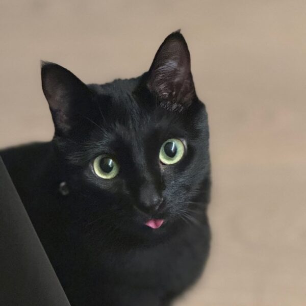 260217 SUGA on Instagram