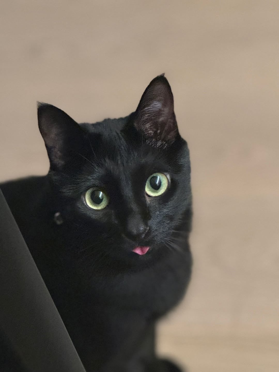 260217 SUGA on Instagram