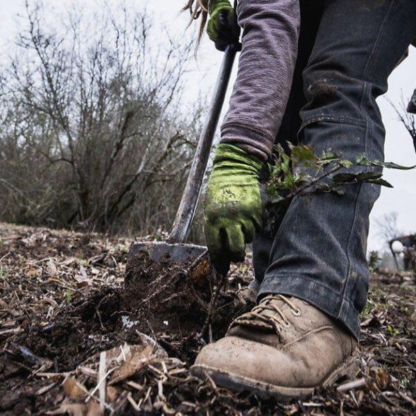 r/bangtan’s ‘Put Down Roots with BTS’ Fundraising Campaign