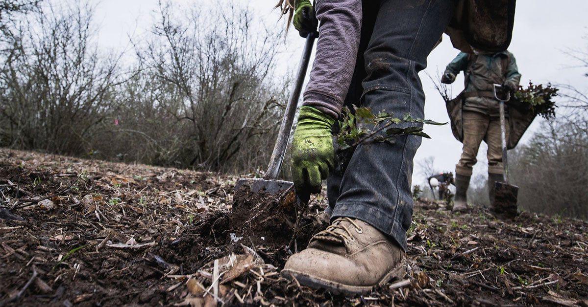 r/bangtan’s ‘Put Down Roots with BTS’ Fundraising Campaign