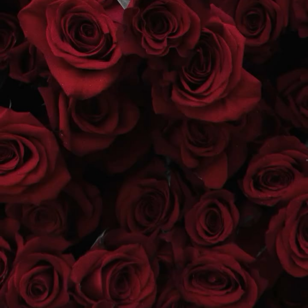 BTS Official IG Post - 160226