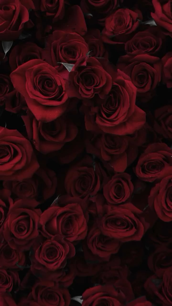 BTS Official IG Post - 160226