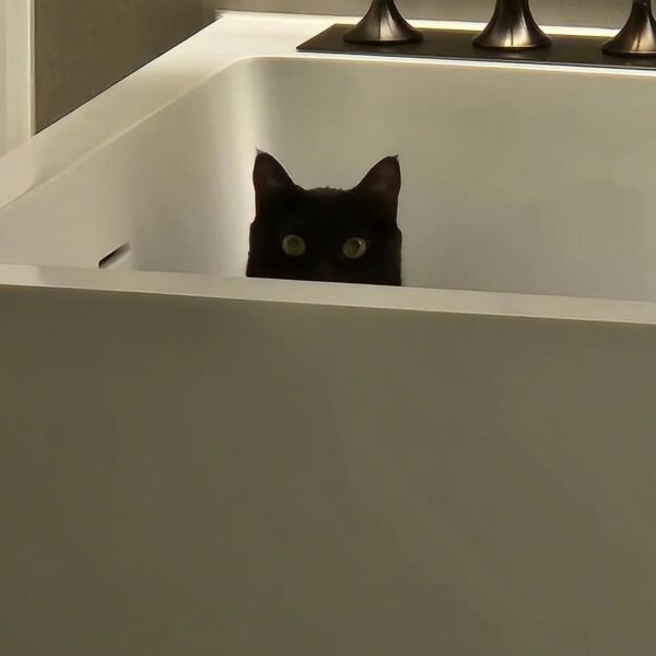 Yoongi IG Post 170226