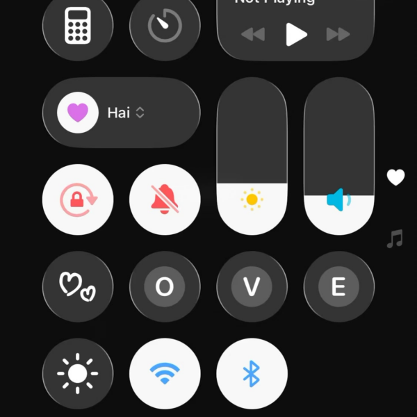 Help me find creator