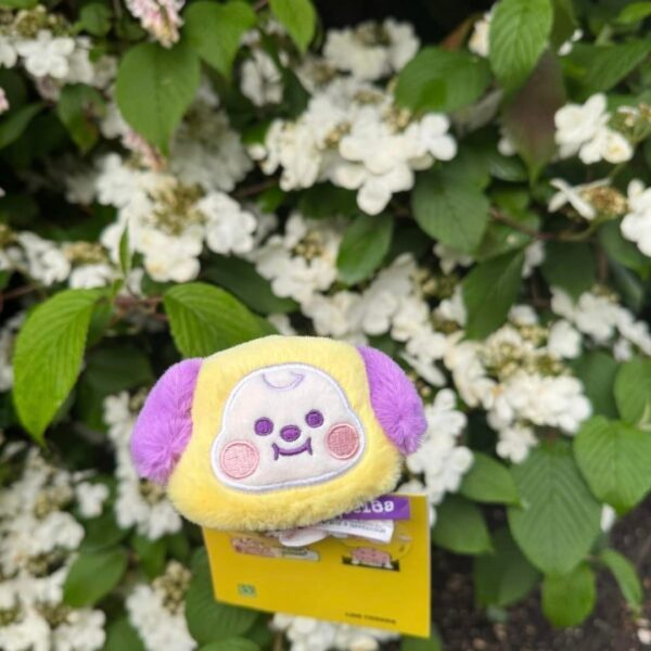 Mods Asleep: Let’s go Namjooning! Here are some of mine - show me yours. 🌿