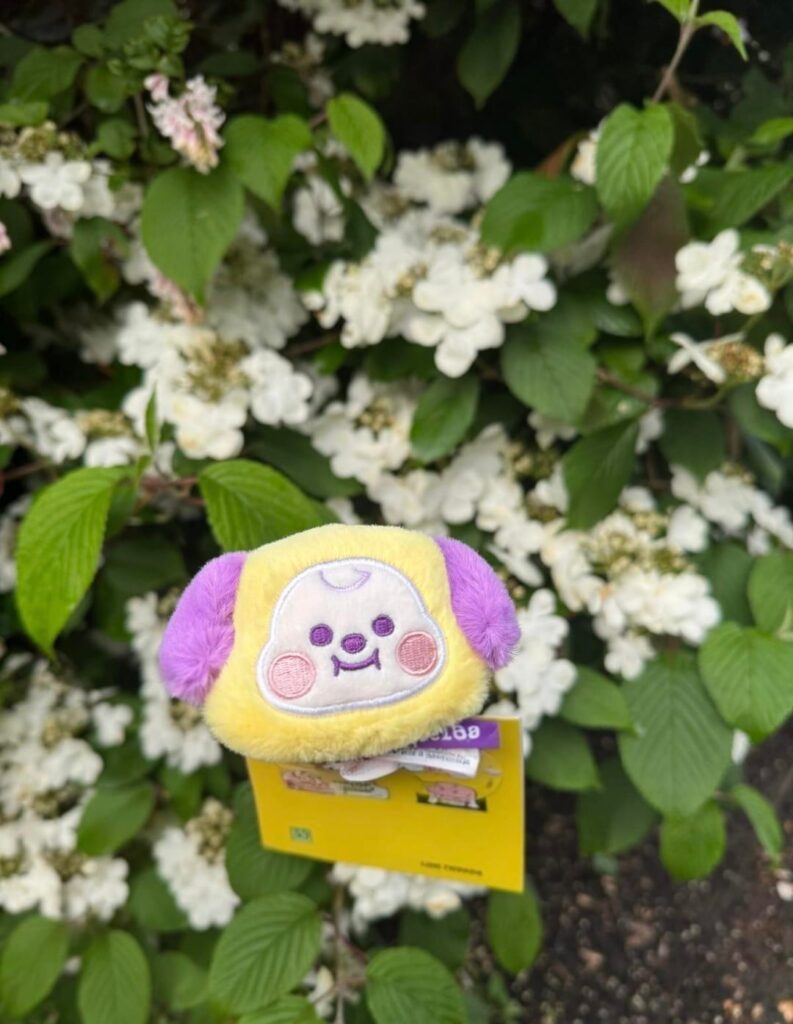 Mods Asleep: Let’s go Namjooning! Here are some of mine - show me yours. 🌿