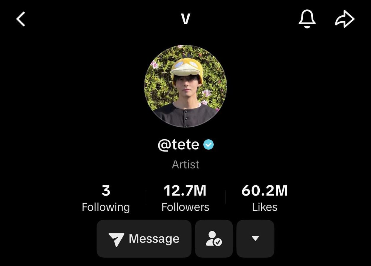 Taehyung updates his TikTok display name from ‘Kimtaehyung’ to ‘V’ - 290426