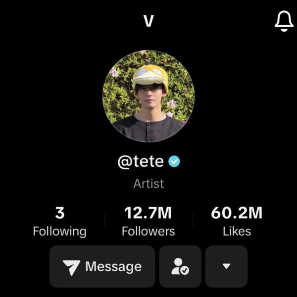 Taehyung updates his TikTok display name from ‘Kimtaehyung’ to ‘V’ - 290426