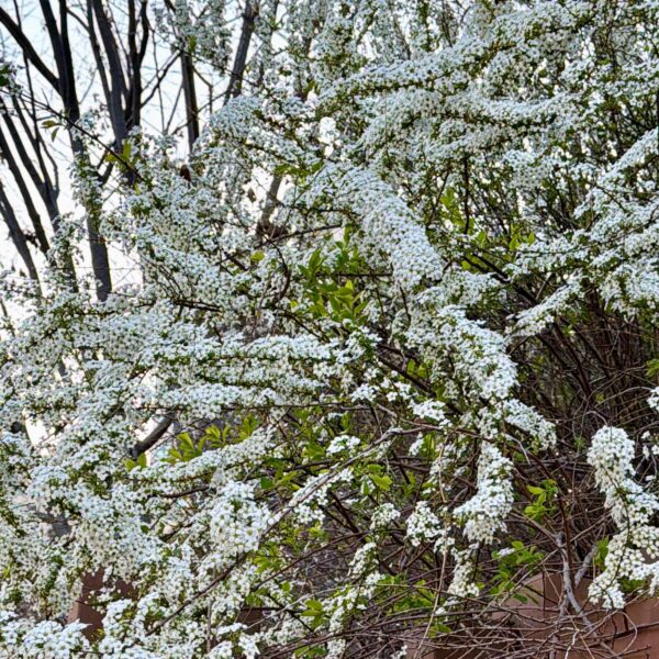 Namjoon Weverse 060426