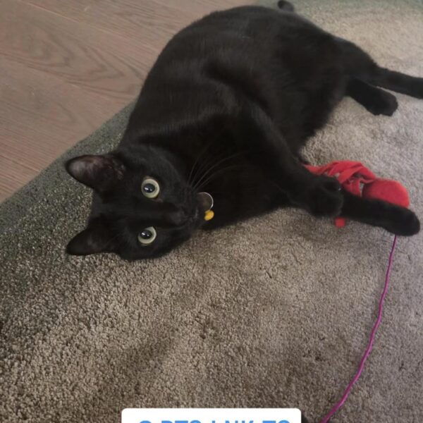 260408 SUGA on Instagram