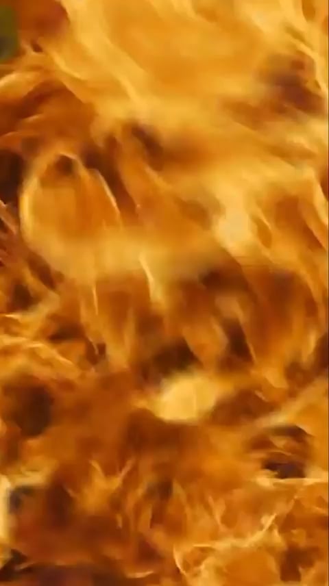 First We Feast IG Post(2) 090426