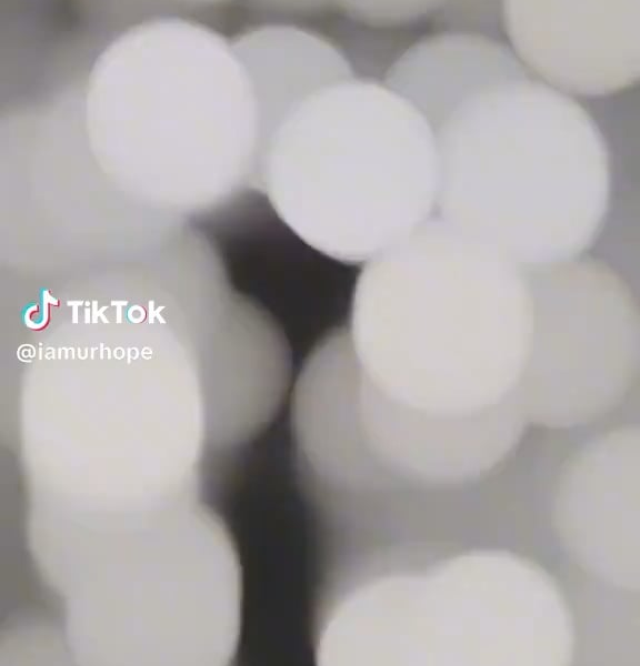 Hobi TikTok 080426