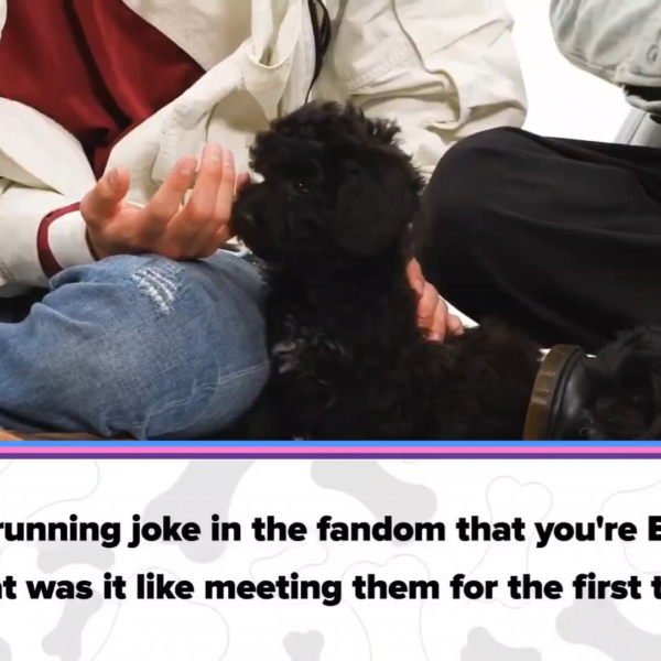 [BuzzFeed Celeb] CORTIS: The Puppy Interview (answering a question about what it was like meeting BTS for the first time) - 250426