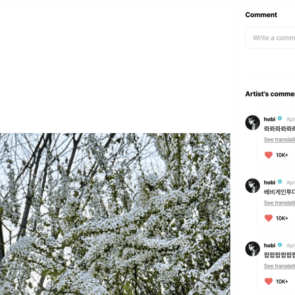 Hobi's comments on Namjoon's Weverse post - 060426