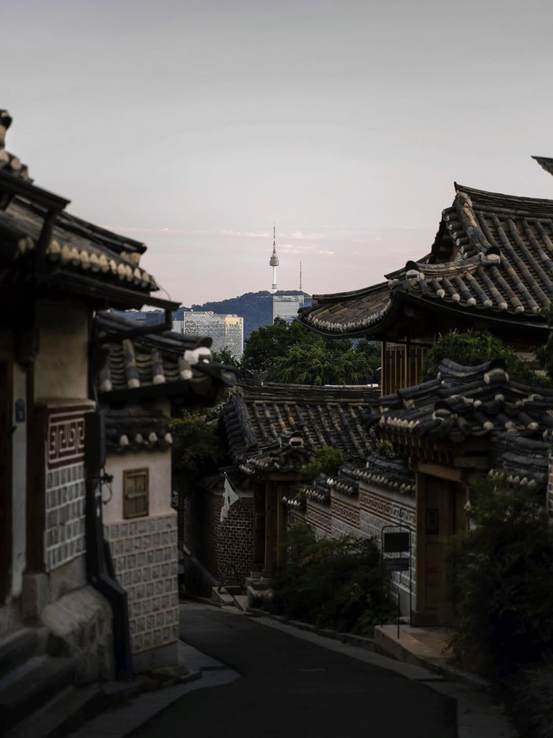 taste_arih IG Post 040426