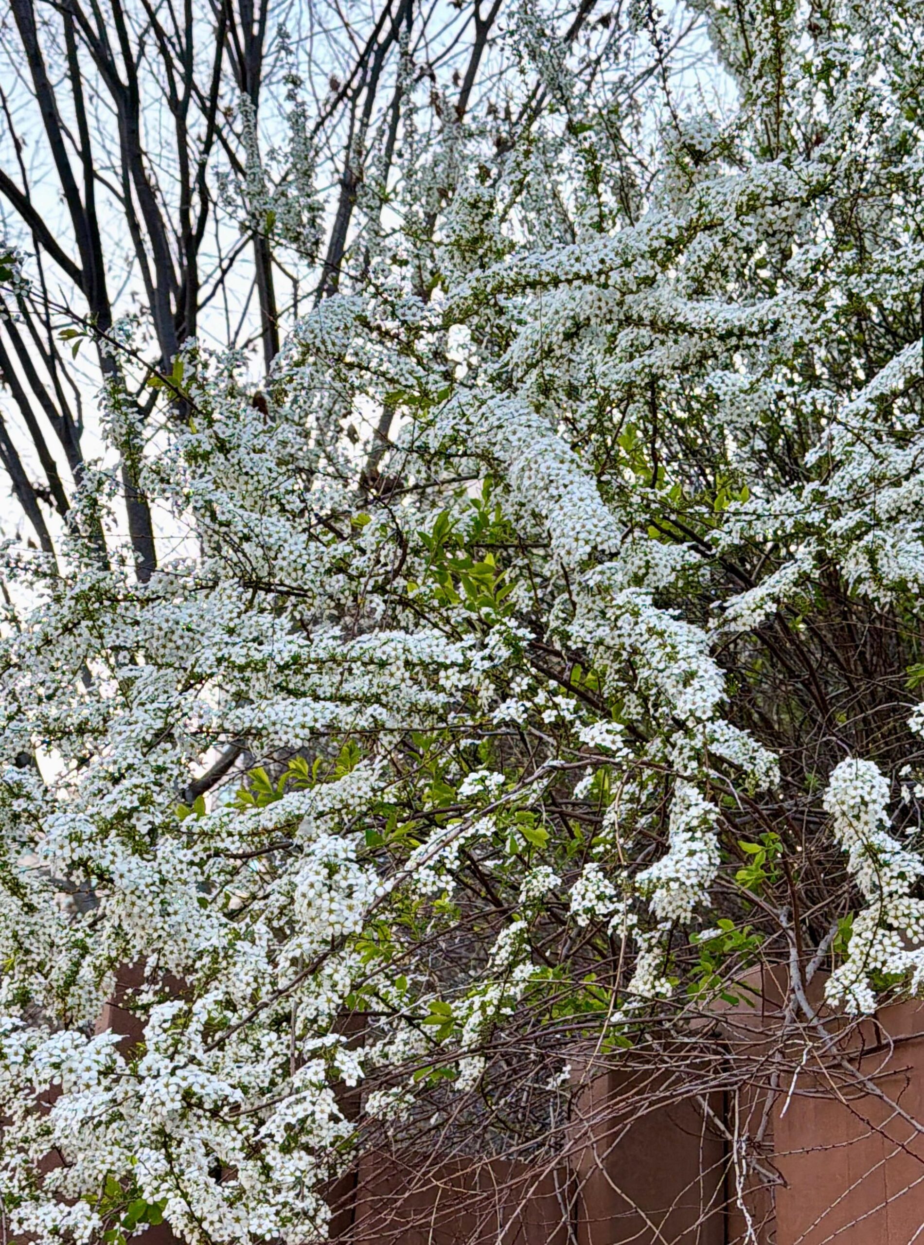 260406 RM on Weverse