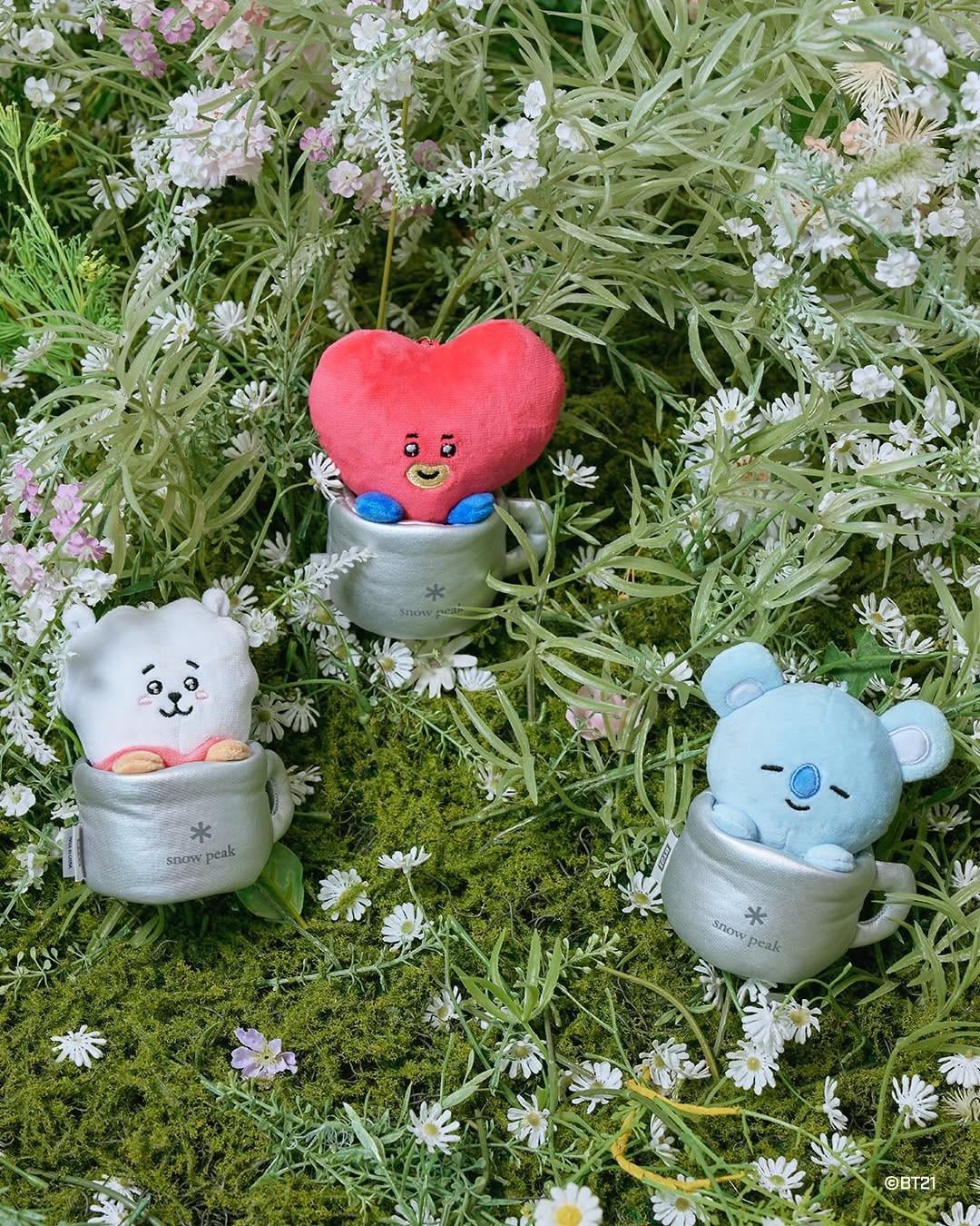 260504 Snowpeak Outdoor on Instagram ft. BT21