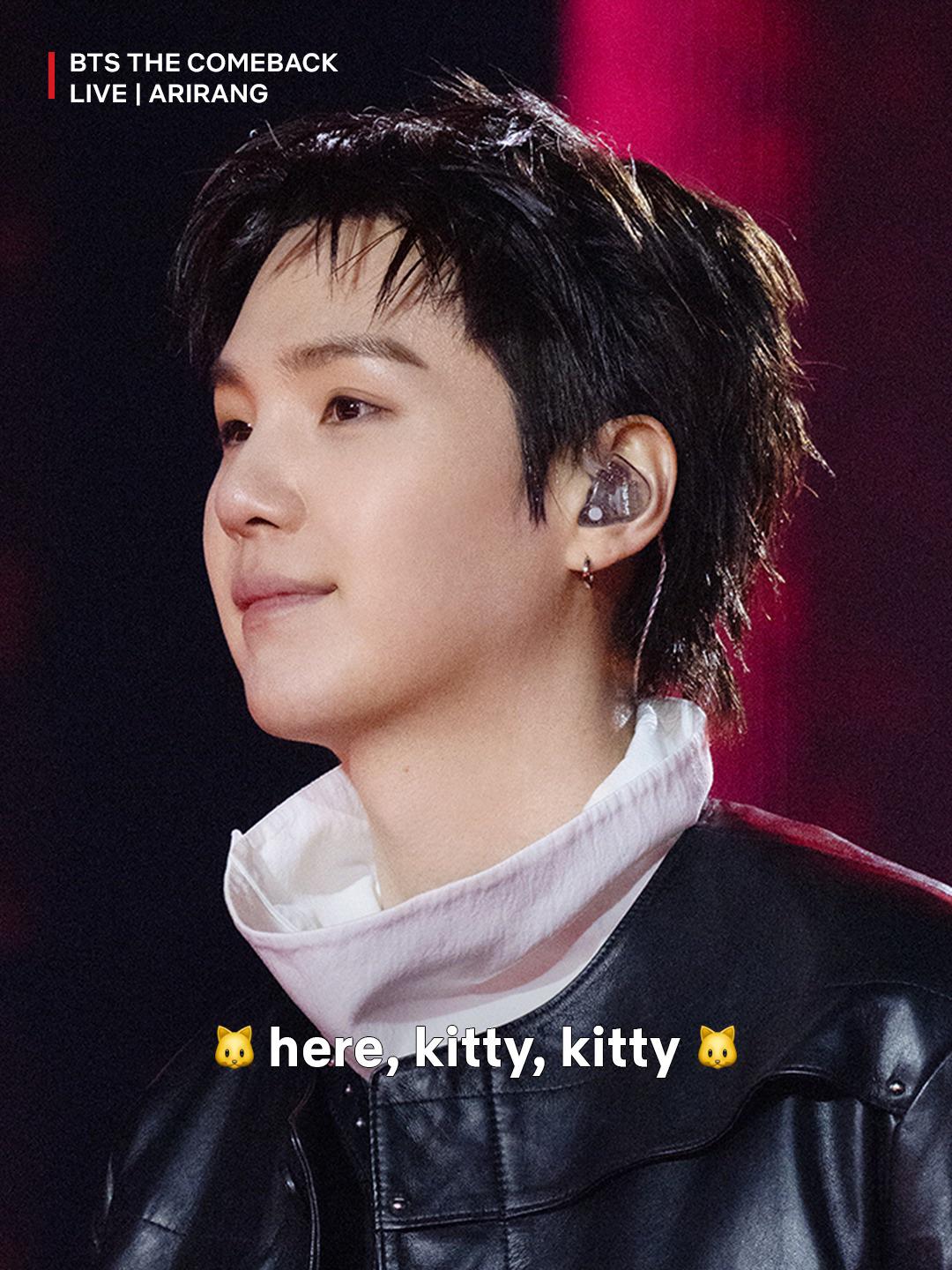 260503 Netflix Philippines on Instagram (featuring SUGA): i’m a cat person, what can i say? 😽